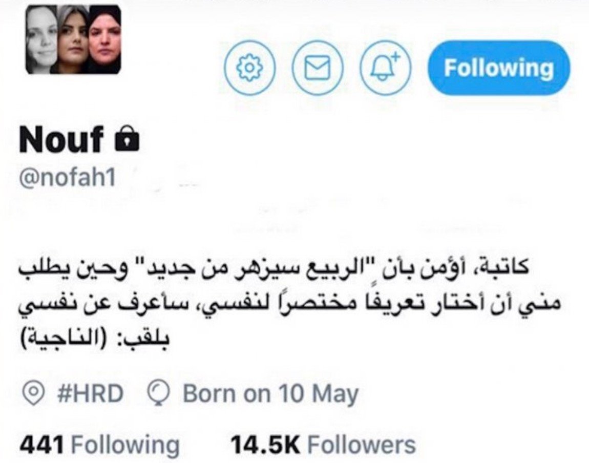 Sur son compte Twitter, Nouf Abdelaziz a affiché son soutien à d’autres défenseurs des droits de l’homme (capture d’écran/Fédération internationale pour les droits humains)