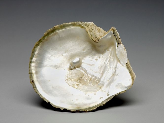 oyster shell qatar gift queen elizabeth ii