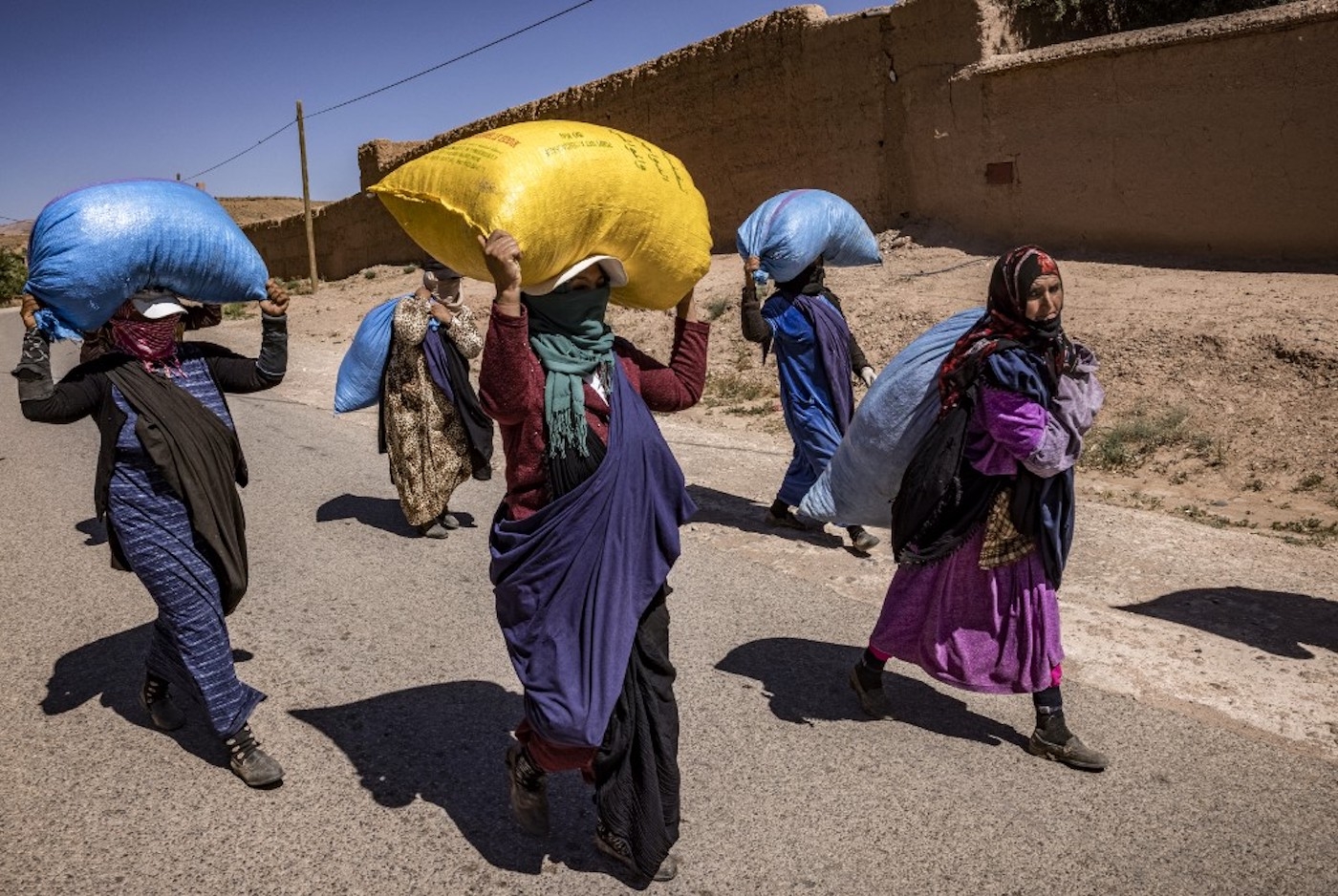 Au Maroc, le dur labeur des cueilleuses de roses (AFP)