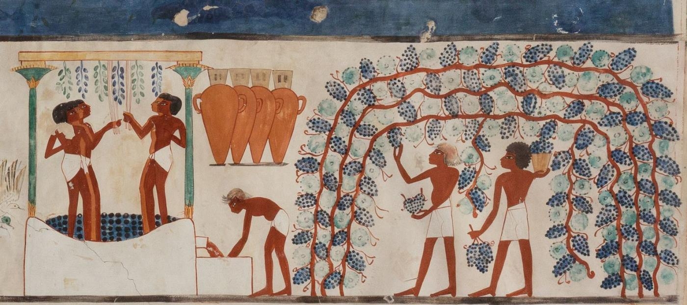 Des détails du côté nord du mur ouest de la chapelle d’offrande de Nakht montrent la vendange du raisin pour faire du vin (The Metropolitan Museum of Art)